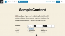 SEO Auto Pages - WordPress Plugin Screenshot 2