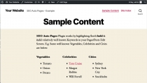 SEO Auto Pages - WordPress Plugin Screenshot 3