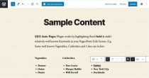SEO Auto Pages - WordPress Plugin Screenshot 6