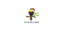 Toucan Modern Logo Screenshot 1
