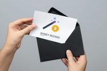 Money Wizard Logo Screenshot 6