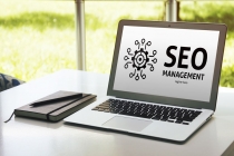 SEO Management Logo Screenshot 2