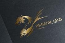 Dragon Fire Logo Screenshot 1