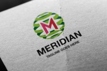Meridian Letter M Logo Screenshot 1