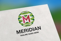 Meridian Letter M Logo Screenshot 2