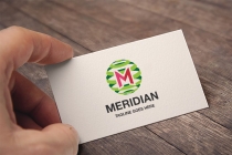 Meridian Letter M Logo Screenshot 3