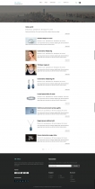 Tiffany - Responsive Premium WordPress Templates Screenshot 4