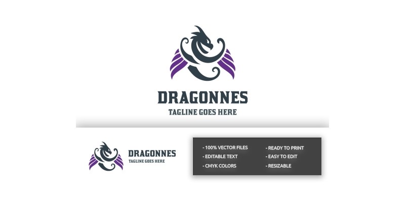 Dragon fly Logo