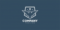 Eagle Shield Logo Screenshot 2