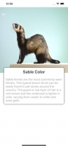 Small Pets - iOS Source Code Screenshot 7