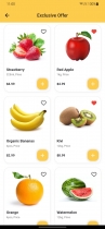 Eco Grocery UI - Flutter App UI Kit Screenshot 2