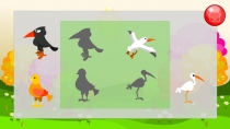 Edukida Birds Shapes Unity Kids Educational Game Screenshot 3