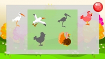 Edukida Birds Shapes Unity Kids Educational Game Screenshot 4