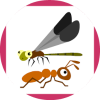 Edukida - Match Insects Unity Kids Game