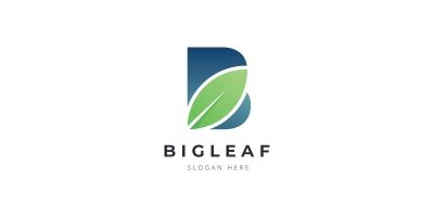 Letter B Leaf Logo
