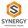 Letter S - Synergy Logo