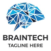 Braintech Logo