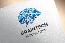 Braintech Logo Screenshot 2