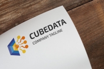 Professional Cube Data Logo Screenshot 2