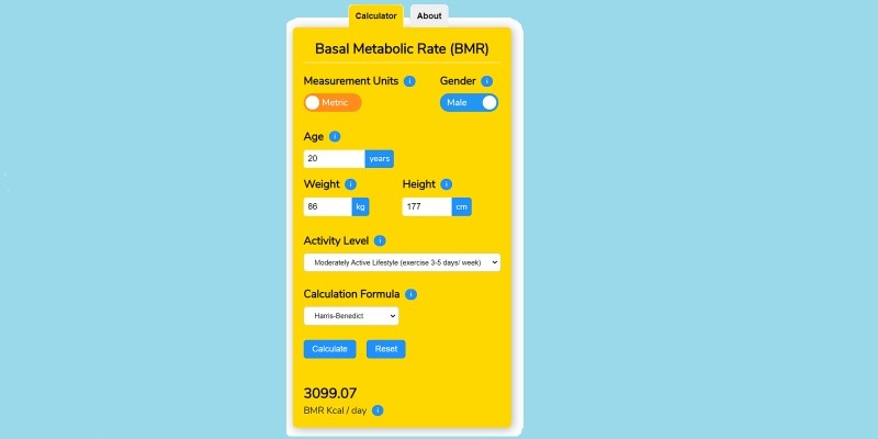 Basal Metabolic Rate BMR Calculator WordPress