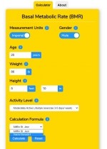 Basal Metabolic Rate BMR Calculator WordPress Screenshot 2