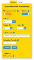 Basal Metabolic Rate BMR Calculator WordPress Screenshot 4