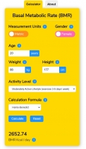Basal Metabolic Rate BMR Calculator WordPress Screenshot 5