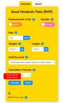 Basal Metabolic Rate BMR Calculator WordPress Screenshot 6