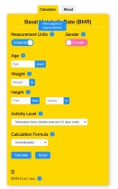 Basal Metabolic Rate BMR Calculator WordPress Screenshot 8