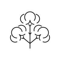 Cotton Logo Template 