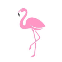 Flamingo Logo Template 
