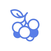 Blueberry Logo Template