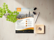 Corporate Business Flyer Design Template design Screenshot 1