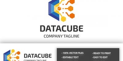Data Cube Professional Logo