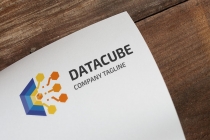 Data Cube Professional Logo Screenshot 2