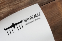 Wild Eagle Logo Screenshot 2