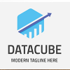 Business Data Cube Professional Logo