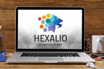 Hexonality Lion Logo Screenshot 1