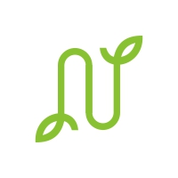 Letter N Logo Leaf Design Template