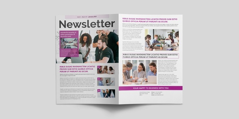 Newsletter Template Design