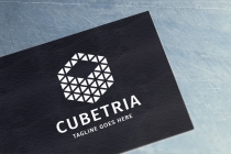 Cubetria Logo Screenshot 2