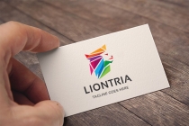 Liontria Logo Screenshot 1