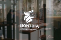 Liontria Logo Screenshot 2
