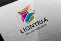 Liontria Logo Screenshot 4