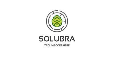 Brain Solution Logo