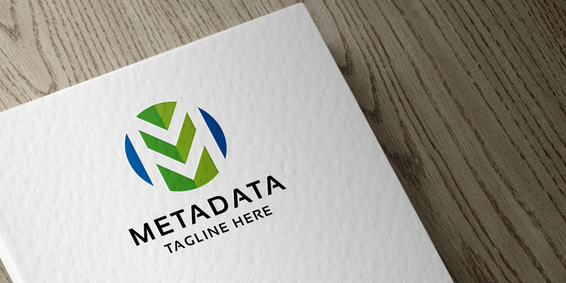 Meta Data Letter M Logo