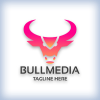 Bull Media Logo