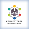Connect Cube Logo