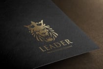 Leader Lion Logo Screenshot 2