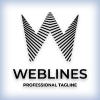 Web Lines Letter W Company Logo